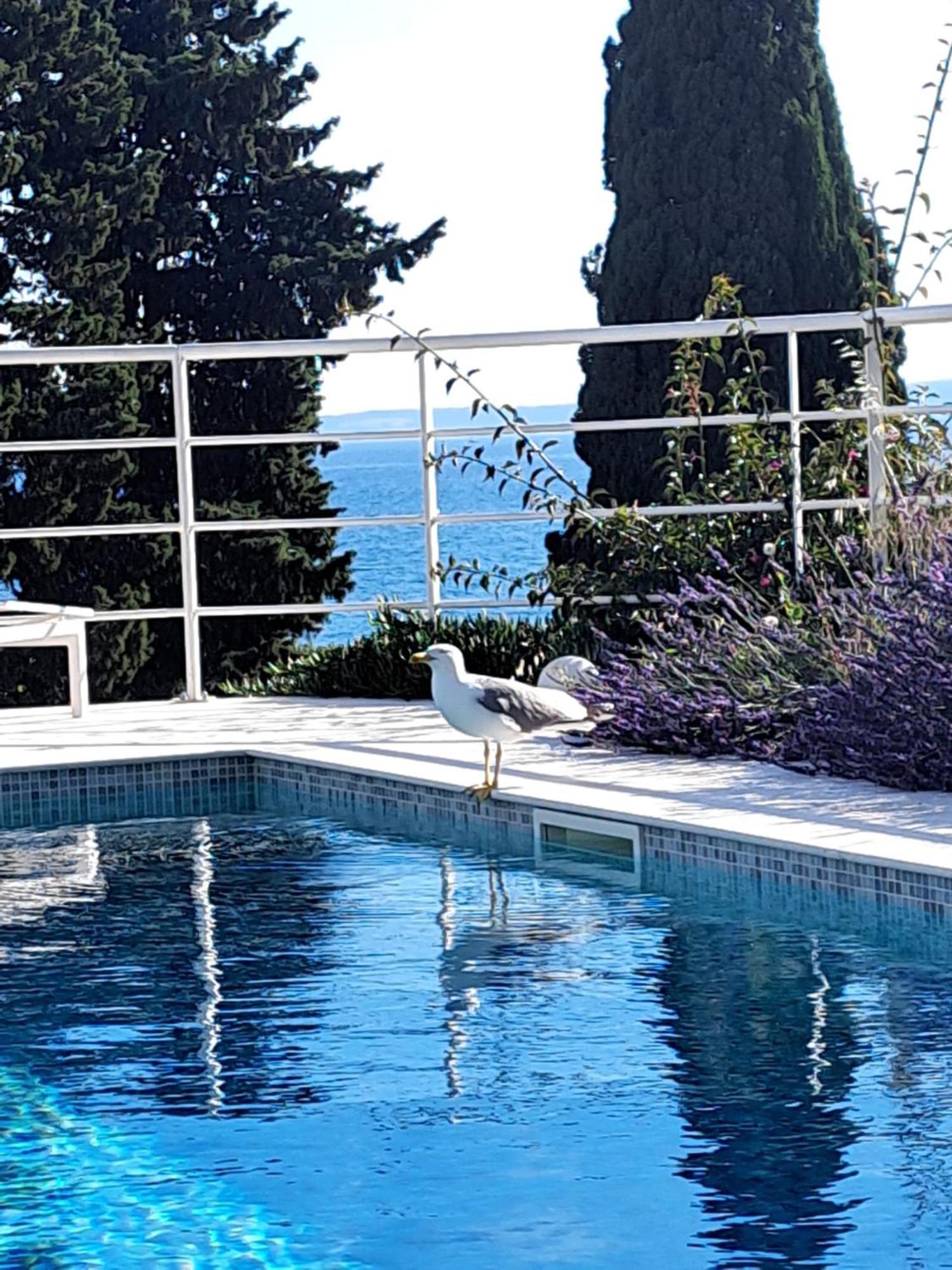 Apartment With Private Pool سبليت المظهر الخارجي الصورة